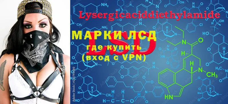 Лсд 25 экстази ecstasy  где купить наркоту  Камышлов 